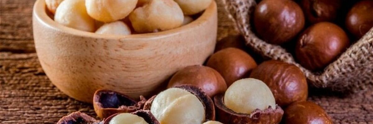 Переваги макадамського горіха для здоров'я